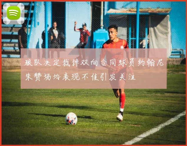 狼队决定裁掉双向合同球员约翰尼朱赞场均表现不佳引发关注